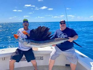 Multi-Day Marlin and Sailfish Adventures in Islamorada