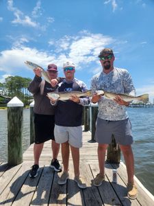 Calm conditions and scenic views made for another great start to the day—book your next inshore fishing trip today.