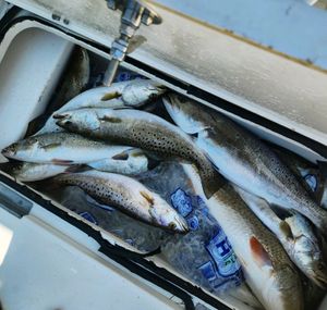 The bite is on and the water is calling—book your inshore fishing trip and make the most of the season.