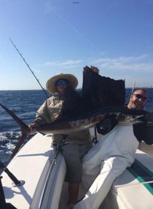 Sailfish Season Bookings Now Open