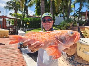 Another successful day on the water—reserve your family fishing trip today!