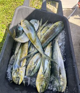 Trevor’s Birthday Trip