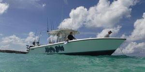 What to Expect on a Deep Sea Fishing Charter in Pompano Beach