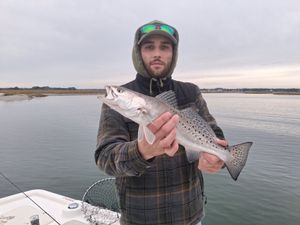 Trout trout and more trout 