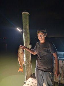 Schooling reds and trout!