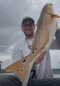 Topeatwr redfish 