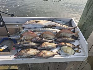 Wintertime bottom fishing