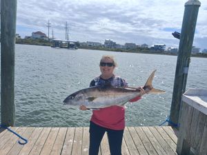 Cool water and hungry fish!