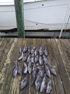 Offshore bottom fishing 