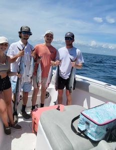 The schooling kings are thick!