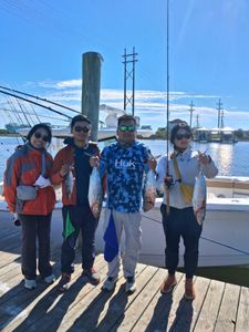 Schooling kings and amber jacks!