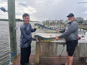 Mahi are here!