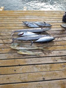 North Carolina fishing charters 2023