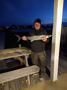 King mackerel in North Carolina