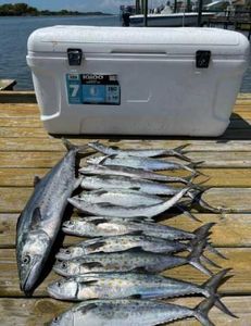 Premium NC Fishing Charters: Unmatched Angling