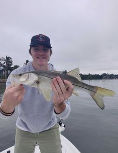 Great post front bite in Sarasota, FL
