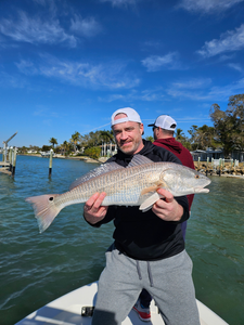 Sarasota Inshore Charter: Redfish, Snook & Trout on the Flats