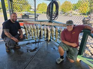 A Successful Father-Son Trip Spotlighting Peak Summer Walleye Patterns on Lake Erie
