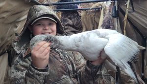 Western NY Waterfowl Hunting & Licensing Guide