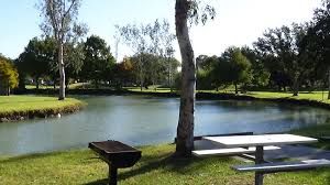 Top Things to Do in Texas City