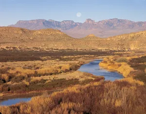 Things To Do In Texas 