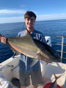 Greater Amberjack Fishing in Florida