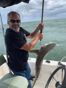 Shark Fishing In Florida