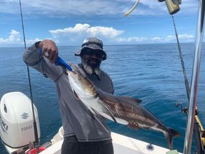 Fishing For Cobia in Jacksonville, FL
