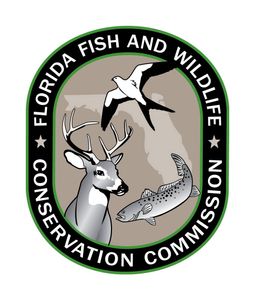 Get Your Valid Florida Fishing License