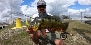 Peacock Bass Fishing Charters in Miami