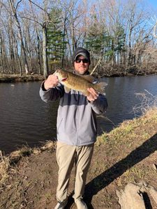 Guided Fly Fishing Trip In Wisconsin