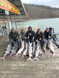 Hot Spoonbill Action to Start the Season