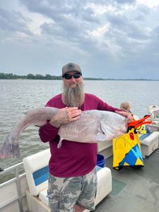 New Personal Best! Massive 48-Pound Catfish Hits the Boat