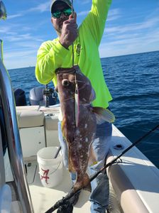 Record Breaking Grouper Caught in Gulf Shores!