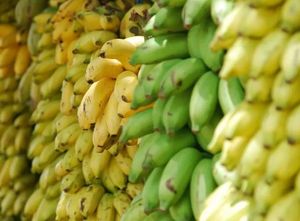No Bananas Superstition
