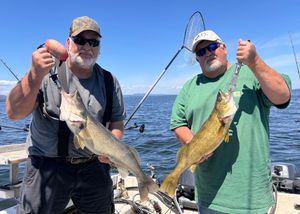 Salmon, Laker, Walleye Trifecta!