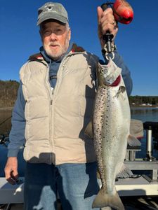 Strong Lake Champlain Salmon Action with Nonstop Catch and Release