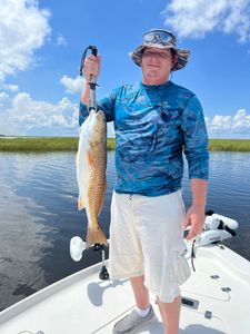 Redfish in Louisiana 