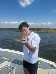 Bull Reds and speckled trout