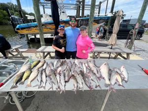 Louisiana Bass And Fresh Water Catfish