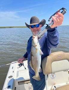 2 1/2 lb Speckled Trout