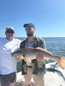35 Inch Redfish Highlight This Week