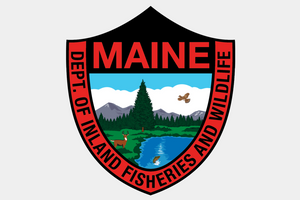 MAINE FISHING LICENSE