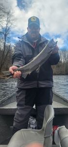 Salmon River Fishing