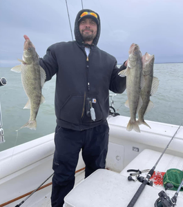 Fun Fishing Walleye In Lake Erie