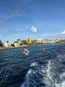 Mixed bag Palm Beach offshore bite