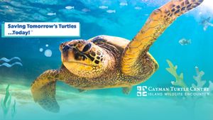 Top Things to Do in Cayman Islands