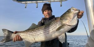 Striped Bass Fishing Charters in Freeport NY