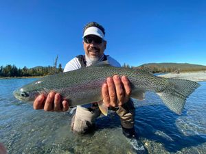 Simple Steps to Securing Your Kenai River Fishing License