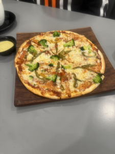 Tampa Bay Fishing Delights: A Visual Journey